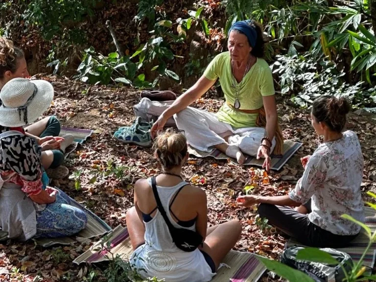 Eine Gruppe von Menschen sitzt im Wald und hört einer Rednerin zu.