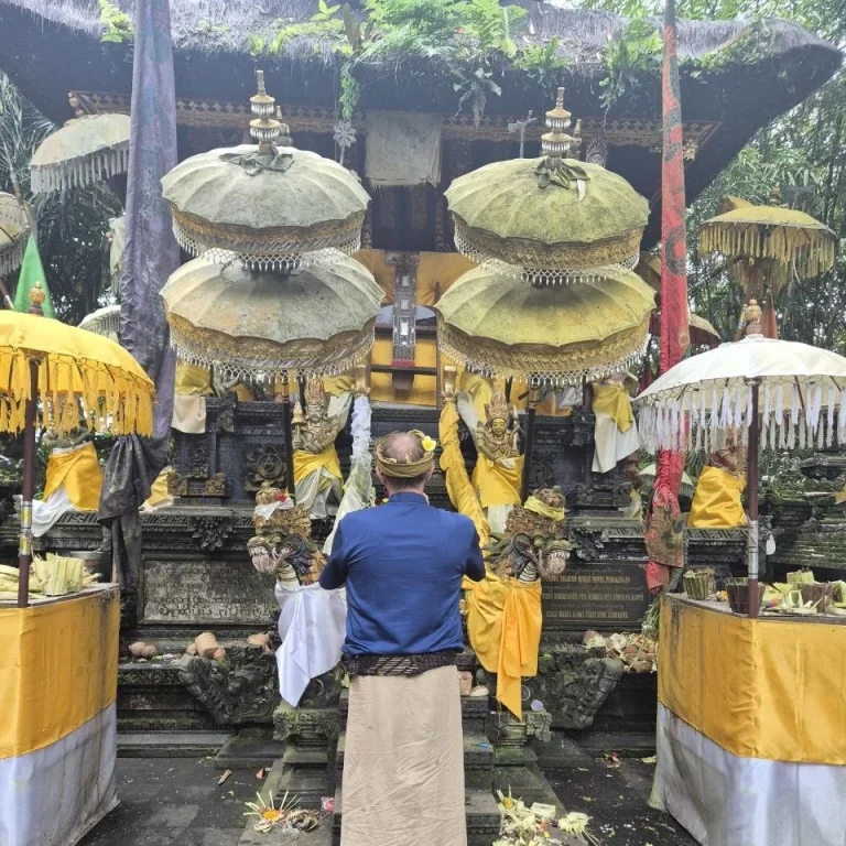 Person in traditioneller Kleidung betet vor einem hindutempel mit Opfergaben und Schirmen.