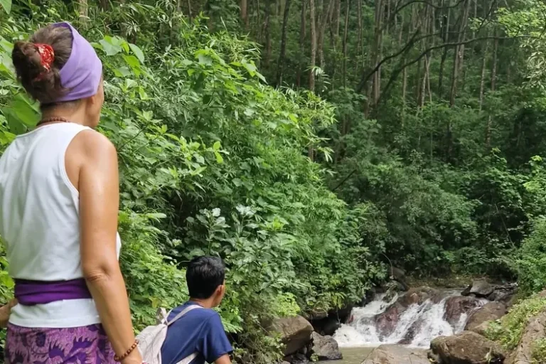 Eine Frau und ein Junge stehen im Wald und schauen auf einen kleinen Wasserfall.