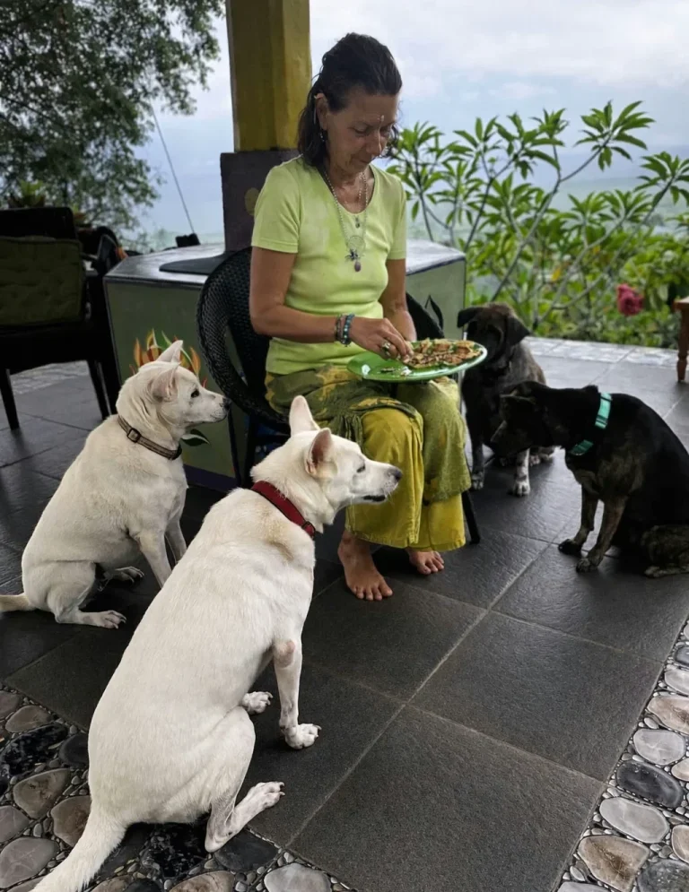 Eine Frau sitzt mit einem Teller Essen, umgeben von vier Hunden auf einer Terrasse.