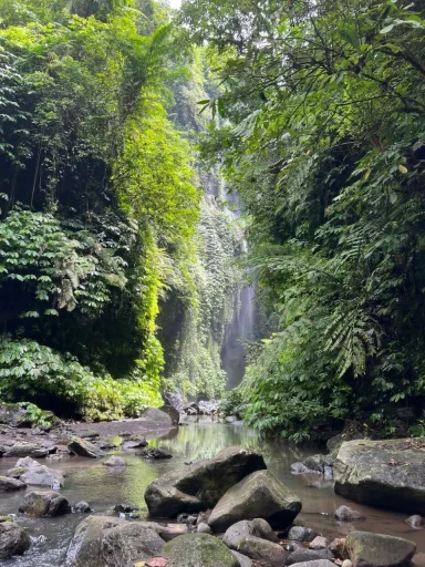 Ein Wasserfall umgeben von dichtem, grünen Dschungel und steinigen Ufern.