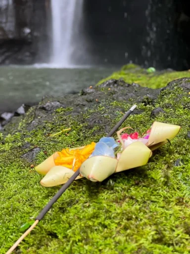Bunte Früchte auf einem Holzspiess, gelegen auf moosbedecktem Stein neben einem Wasserfall.