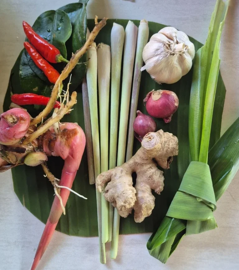 Eine Auswahl frischer Kräuter und Gewürze: Ingwer, Knoblauch, Chili, Zitronengras und Schalotten.