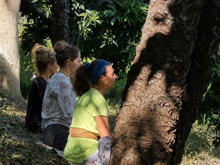 Drei Frauen sitzen im Freien, schauen in die Ferne, umgeben von Bäumen und Natur.
