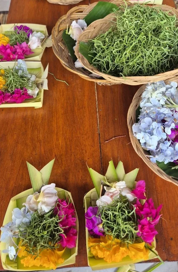 Bunte, dekorative Angebote mit Blumen und Pflanzenarrangements auf einem Holztisch.