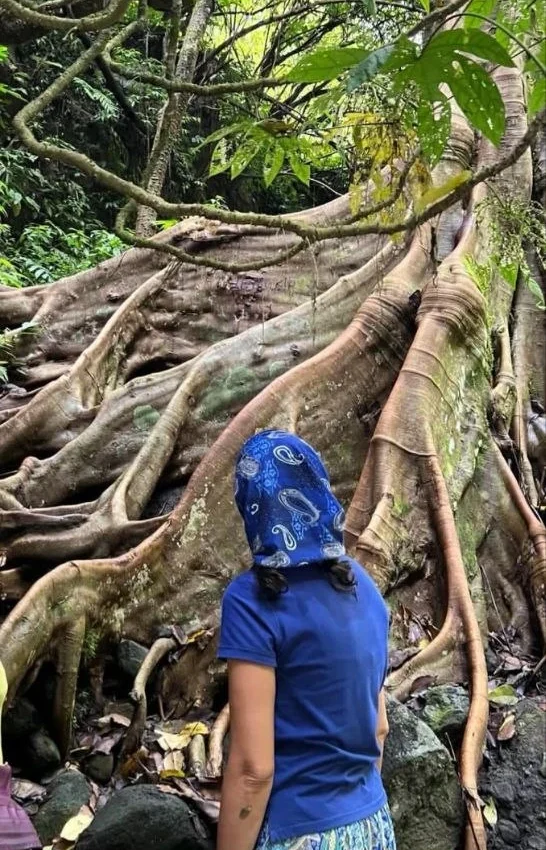 Eine Person mit Kopftuch steht vor einem großen Baum mit sichtbaren Wurzeln.