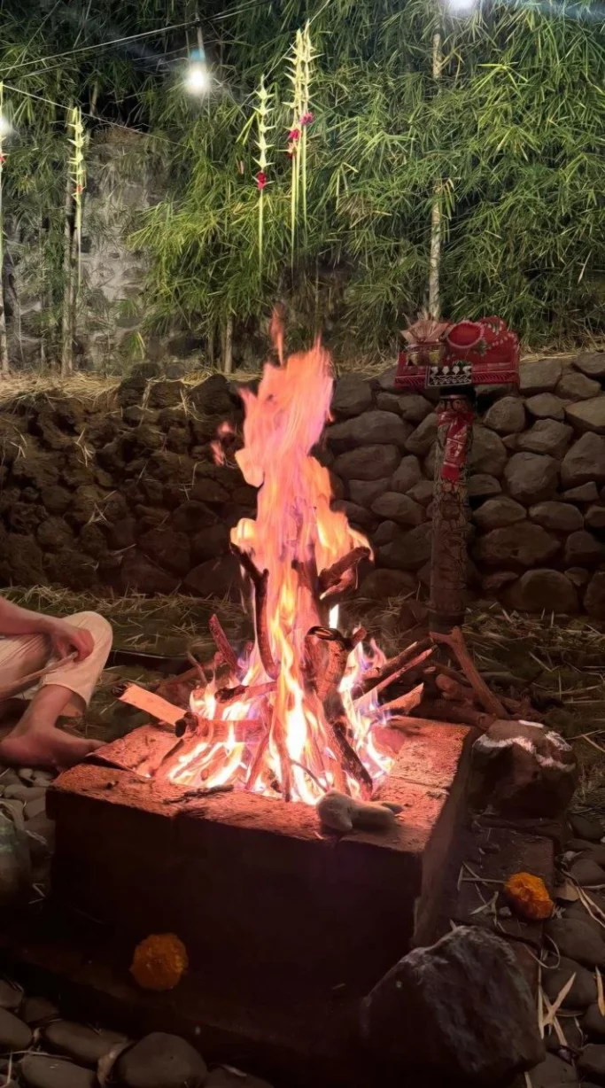 Lagerfeuer mit flammenden Holzscheiten, umgeben von Steinen und grünen Pflanzen.